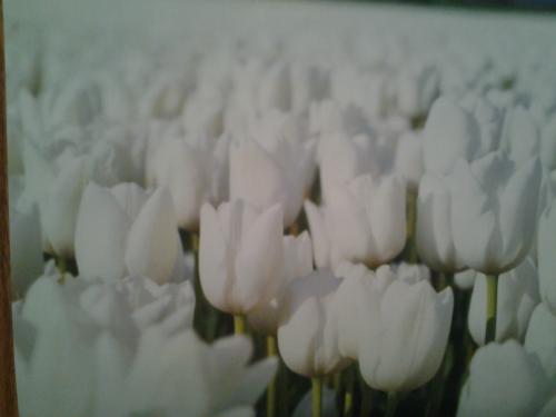 Christians Dance? 900th Mix Megarama Part 1