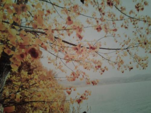 Christians Dance? 900+4 Megarama Part 5