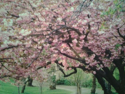 Christians Dance? 900+8 Mix Megarama Part 9