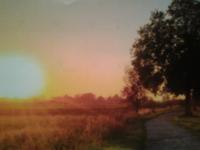 Christians Dance? PsyTime-Stars