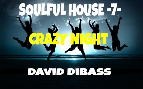 SoulFul House -7- (Crazy Night)