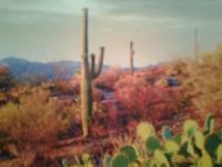 Christians Dance? PsyTime-Eradicate