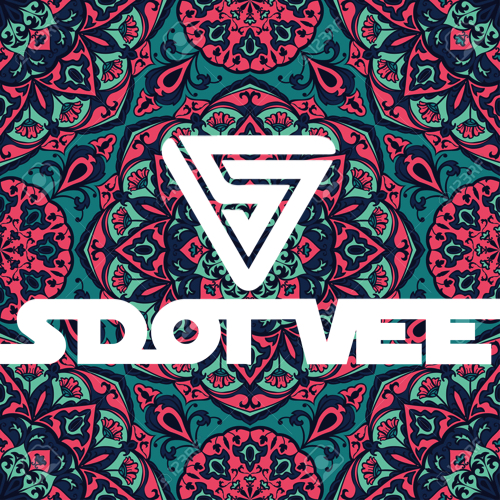 S Dot Vee - We Like To Groove - Vol 3