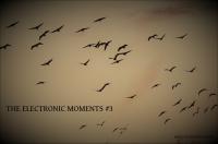 THE ELECTRONIC MOMENTS #3