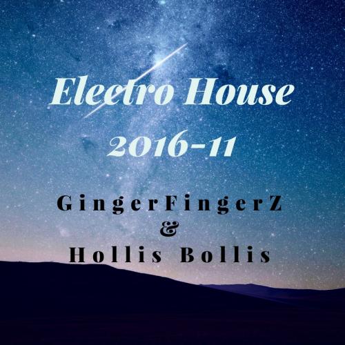 Electro House Mix 2016-11