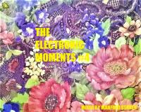 THE ELECTRONIC MOMENTS #4