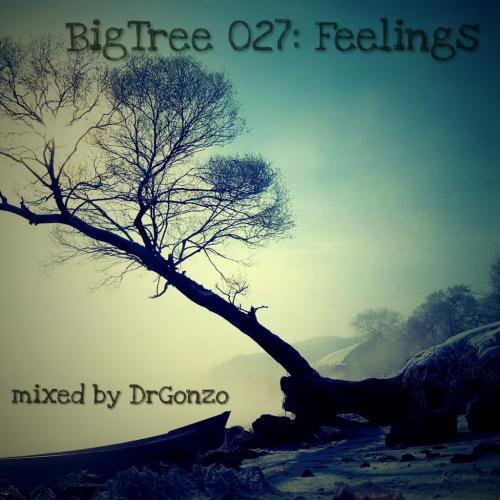 BigTree 027: Feelings (2016.12.28.)