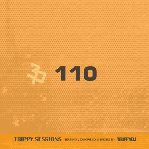 TRIPPY SESSIONS #110 with TRIPPYDJ
