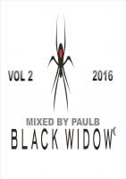 BLACK WIDOW VOL 2