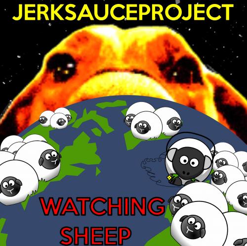 WATCHING SHEEP