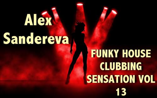 FUNKY HOUSE CLUBBING SENSATION VOL. 13