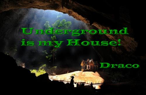 Underground is My House