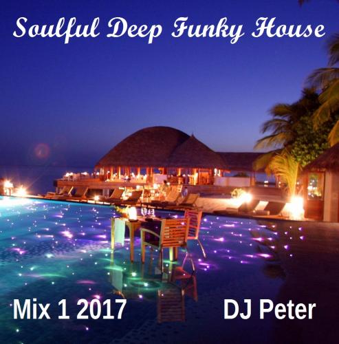 DJ Peter - Soulful Deep Funky House - Mix 1 2017