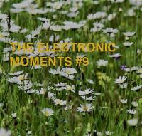 THE ELECTRONIC MOMENTS #9