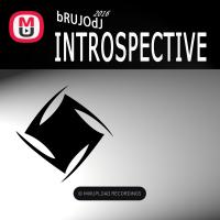 bRUJOdJ - Introspective 2016