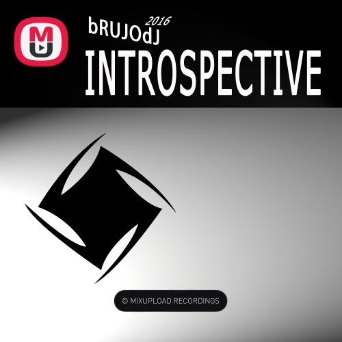 bRUJOdJ - Introspective 2016