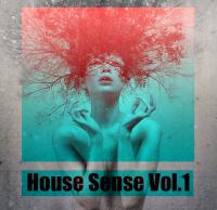 dj V-Dat &amp; dj BJ&#039;S - House Sense Vol.1