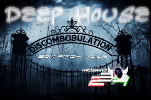 EDM PITCH -DISCOMBOBULATION