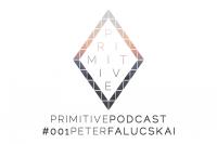 Primitive Podcast #001 | Peter Falucskai
