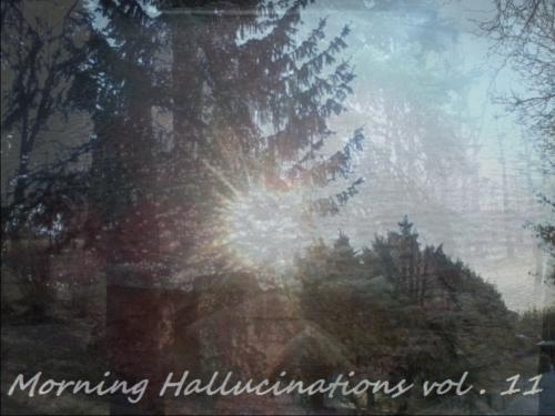 dj Morning Change - Morning Hallucinations vol 11 (25 03 2017)