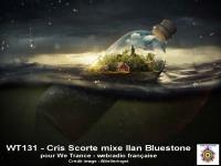 WT131 - Cris Scorte mixe Ilan Bluestone
