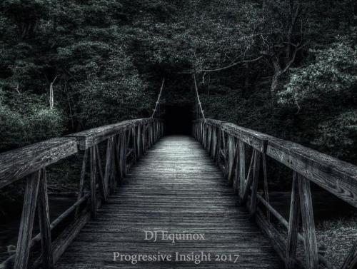 Progressive Insight 2017