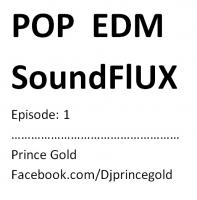 Pop edm sound flux Episode 1 by Dj Prince Gold