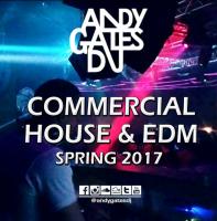 Commercial House &amp; EDM (Spring 2017) Mix