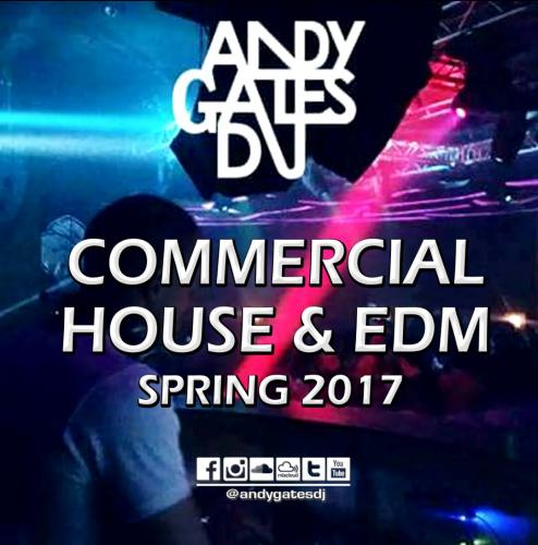 Commercial House &amp; EDM (Spring 2017) Mix