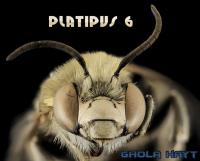 PLATIPUS 6