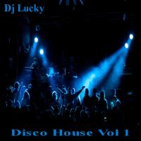 Disco House Vol 1