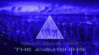 Rinaldo Delano Mohan- The Awakening