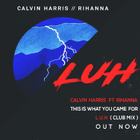 Calvin Harris Feat. Rihanna - This Is What You Came For (L.U.H CLUB MIX)
