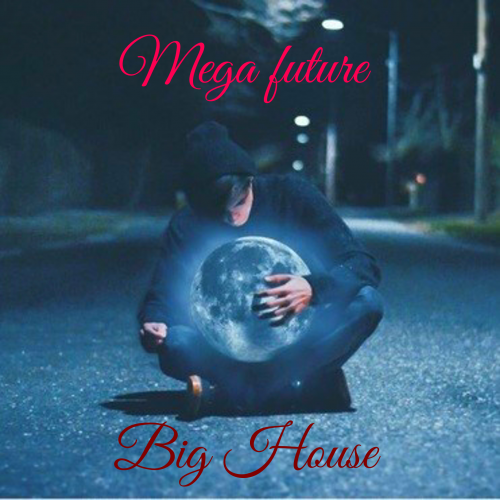 Mega Future Big House #1