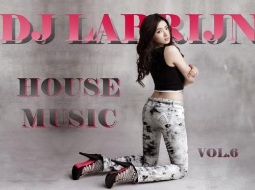 Dj Labrijn - House music vol 6
