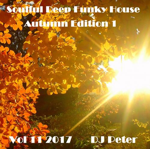 Soulful Deep Funky House Vol 11 2017 - DJ Peter