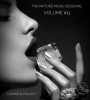 The Mature Music Sessions - Volume #11 - Iain Willis