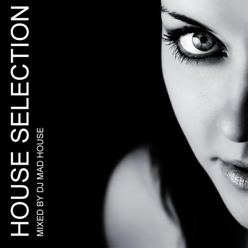 House Selection Vol 2