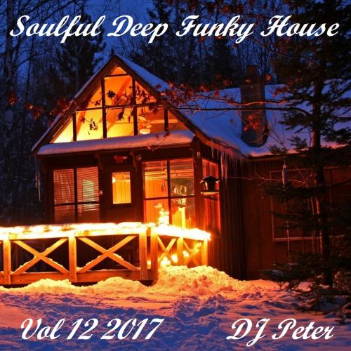 Soulful Deep Funky House Vol 12 2017 - DJ Peter
