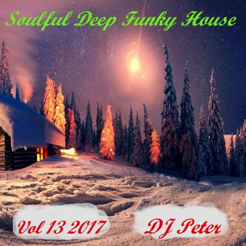 Soulful Deep Funky House Vol 13 2017 - DJ Peter
