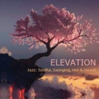 Elevation - Jazz: Soulful, Swinging, Hot &amp; Sweet