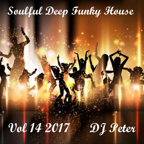 Soulful Deep Funky House Vol 14 2017 - DJ Peter