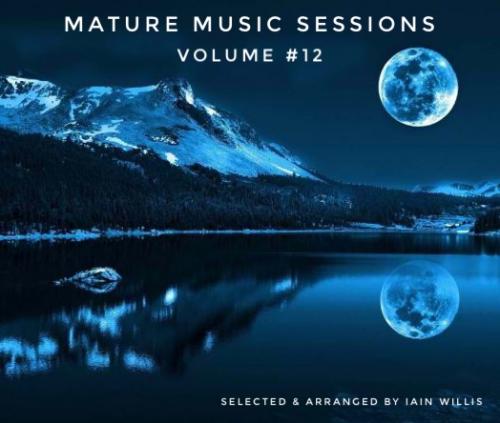 The Mature Music Sessions - Volume #12 - Iain Willis