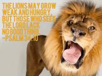 Christians Dance? 1500+14 Mix DOA Part 16