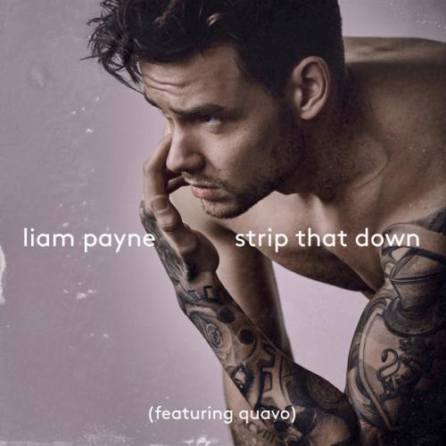 Liam Payne feat Quavo - Strip That Down remix