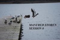 Manfred Storen session 8