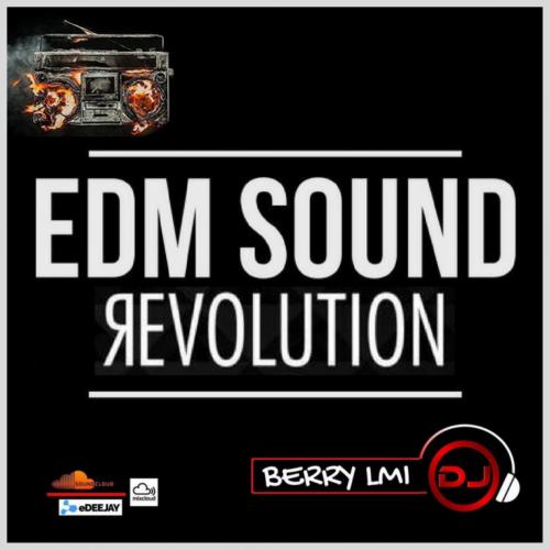 EDM Sound Revolution