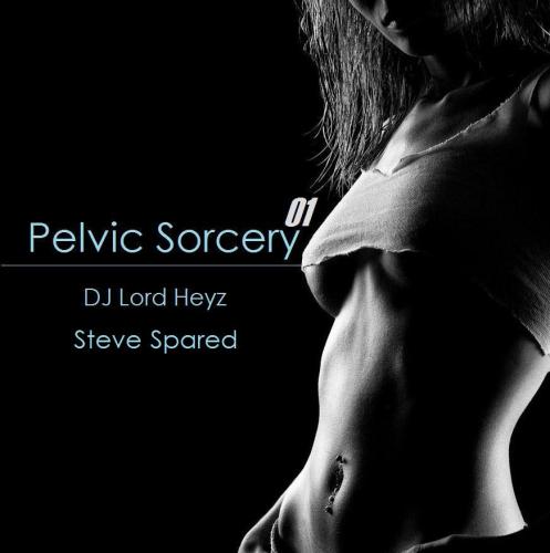 Pelvic Sorcery 01 - DJ Lord Heyz  ft. Steve Spared