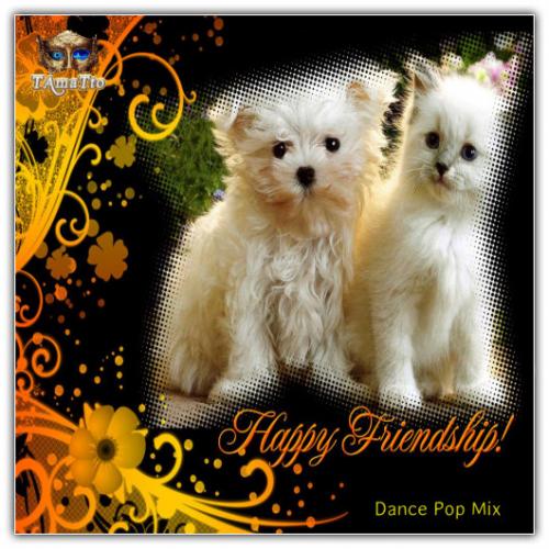Happy Friendship (TAmaTto 2018 Dance Pop Mix)