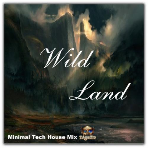 Wild Land (TAmaTto 2018 Minimal Tech House Mix)